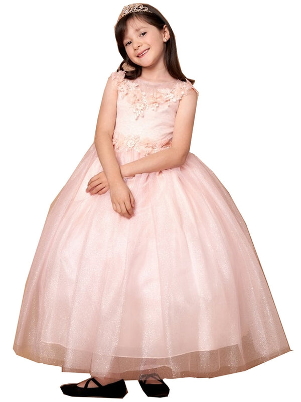 Big Girls Blush Illusion Neckline Floral Applique Glitter Tulle Dress 8-16 - SophiasStyle.com